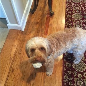 Meet your Posher, Cindy